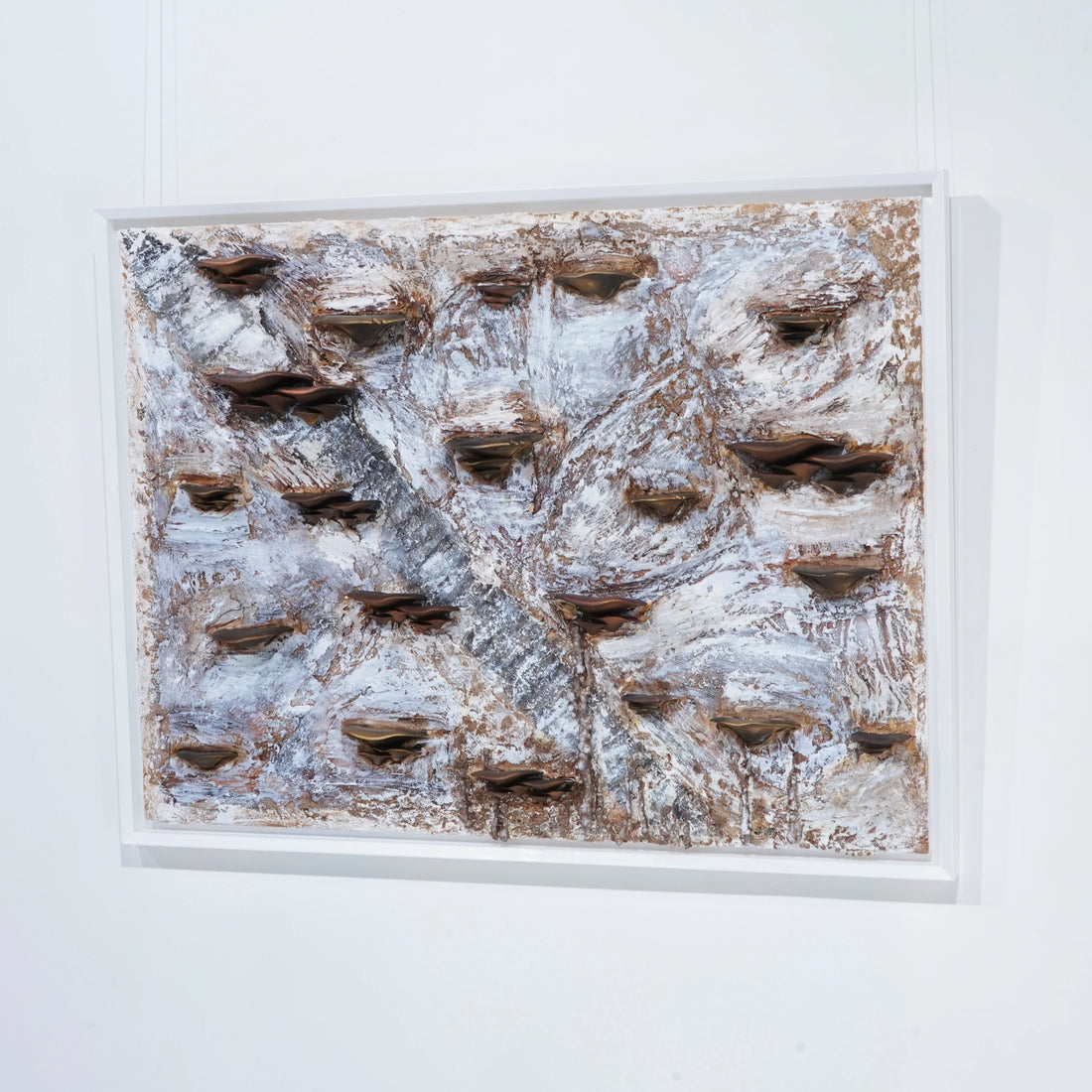 Natural 2026 - Elvira Lopez — Texture detail