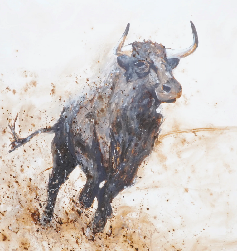 The Bull 2026 - Monti — In situ