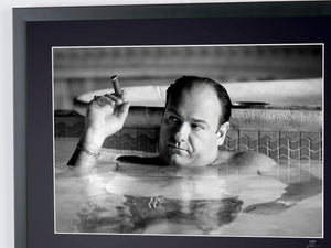 Los Soprano -+ James Gandolfini en el papel de Tony Soprano