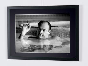 Los Soprano -+ James Gandolfini en el papel de Tony Soprano