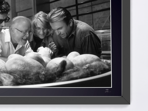 Parque Jurásico (1993) - Jeff Goldblum, David Attenborough, Laura Dern y Sam Neill