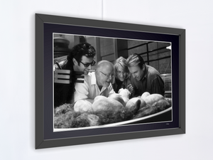 Parque Jurásico (1993) - Jeff Goldblum, David Attenborough, Laura Dern y Sam Neill