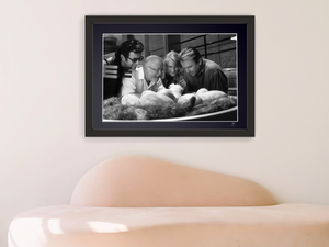 Parque Jurásico (1993) - Jeff Goldblum, David Attenborough, Laura Dern y Sam Neill