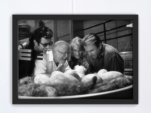 Parque Jurásico (1993) - Jeff Goldblum, David Attenborough, Laura Dern y Sam Neill