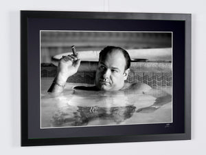 Los Soprano -+ James Gandolfini en el papel de Tony Soprano