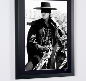 Alain Delon - Zorro