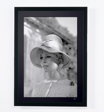 Brigitte Bardot (8)