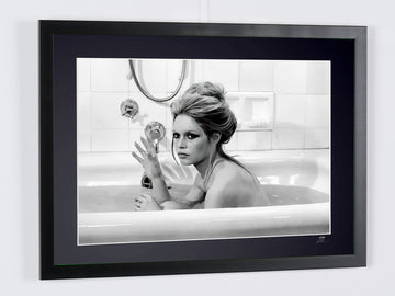 Brigitte Bardot (3)