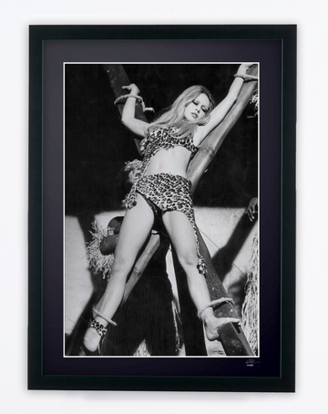 Brigitte Bardot (8)