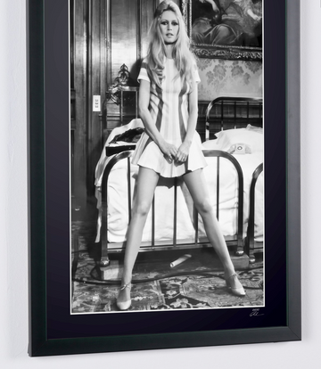 Brigitte Bardot (8)