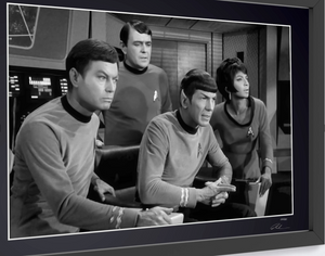 Star Trek 1966 - DeForest Kelley, James Doohan, Leonard Nimoy and Nichelle Nichols.