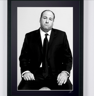 The Sopranos-James Gandolfini as Tony Soprano