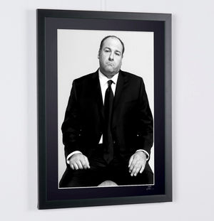 The Sopranos-James Gandolfini as Tony Soprano