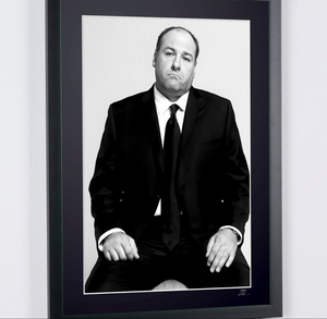 The Sopranos-James Gandolfini as Tony Soprano