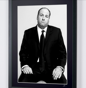 The Sopranos-James Gandolfini as Tony Soprano