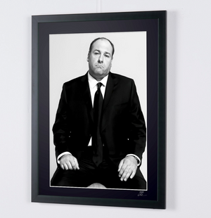The Sopranos-James Gandolfini as Tony Soprano