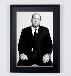 The Sopranos-James Gandolfini as Tony Soprano