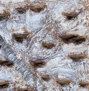 Natural 2026 - Elvira López