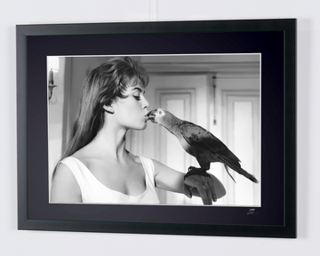 Brigitte Bardot (6)