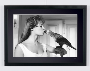 Brigitte Bardot (7)