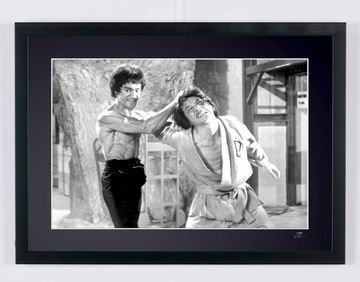 Bruce Lee (1)