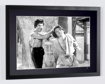 Bruce Lee (3)