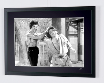 Bruce Lee (5)