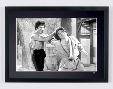 Bruce Lee (7)