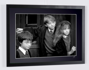Harry Potter and the Philosopher's Stone (2001) — Daniel Radcliffe, Rupert Grint and Emma Watson (3)