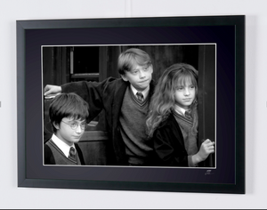Harry Potter and the Sorcerer's Stone - Daniel Radcliffe, Rupert Grint, Emma Watson (5)