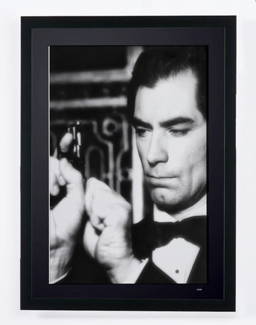 Timothy Dalton (1)