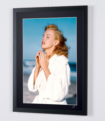 Marilyn Monroe (6)