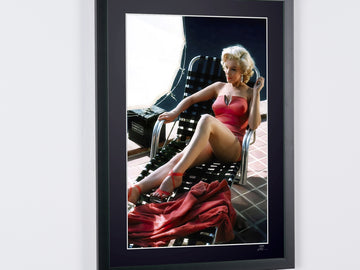Marilyn Monroe (4)