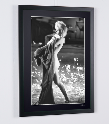 Marilyn Monroe (4)