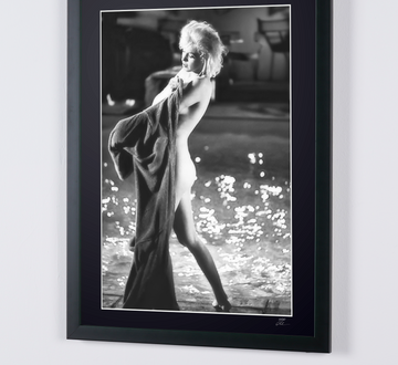 Marilyn Monroe (6)