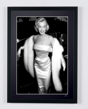 Marilyn Monroe (6)