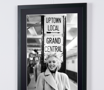 Marilyn Monroe (8)