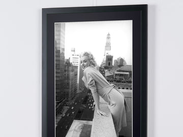 Marilyn Monroe (8)