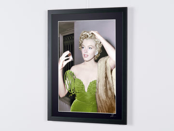 Marilyn Monroe (8)