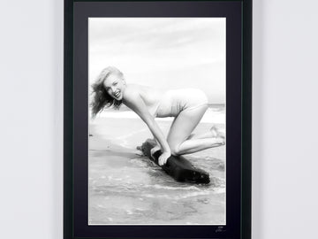 Marilyn Monroe (3)