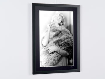 Marilyn Monroe (4)