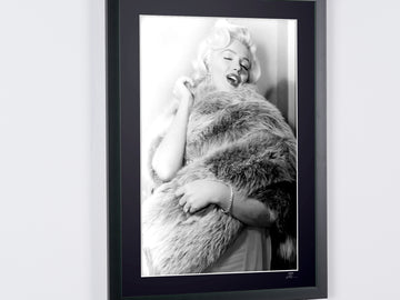 Marilyn Monroe (5)