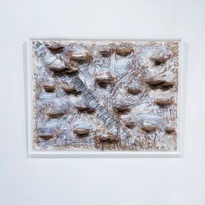  Natural 2026 - Elvira Lopez - OEUVRES D'ART- Starck Gallery -  1