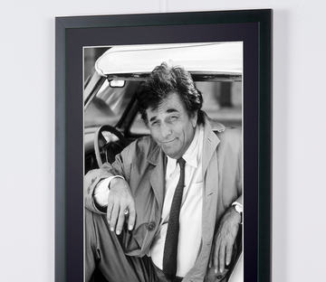 Peter Falk (8)