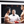 Rocky IV (1985) - Balboa VS Drago - Sylvester Stallone & Dolph Lundgren 