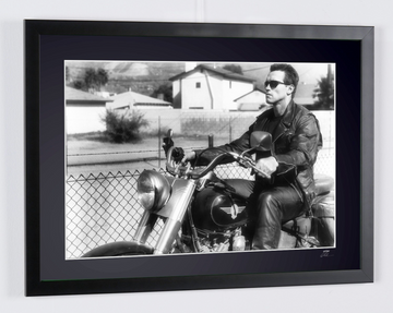 Arnold Schwarzenegger (3)