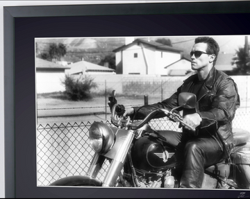 Arnold Schwarzenegger (6)