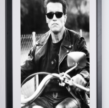 Arnold Schwarzenegger (5)