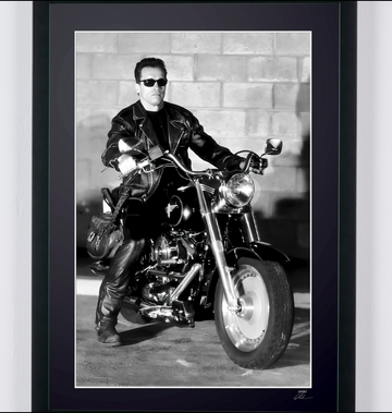 Arnold Schwarzenegger (3)