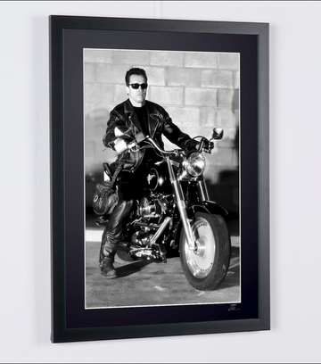 Arnold Schwarzenegger (4)